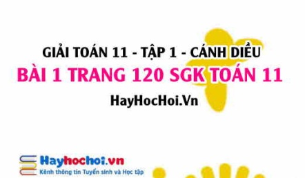 Giải bài 1 trang 120 Toán 11 tập 1 SGK Cánh Diều